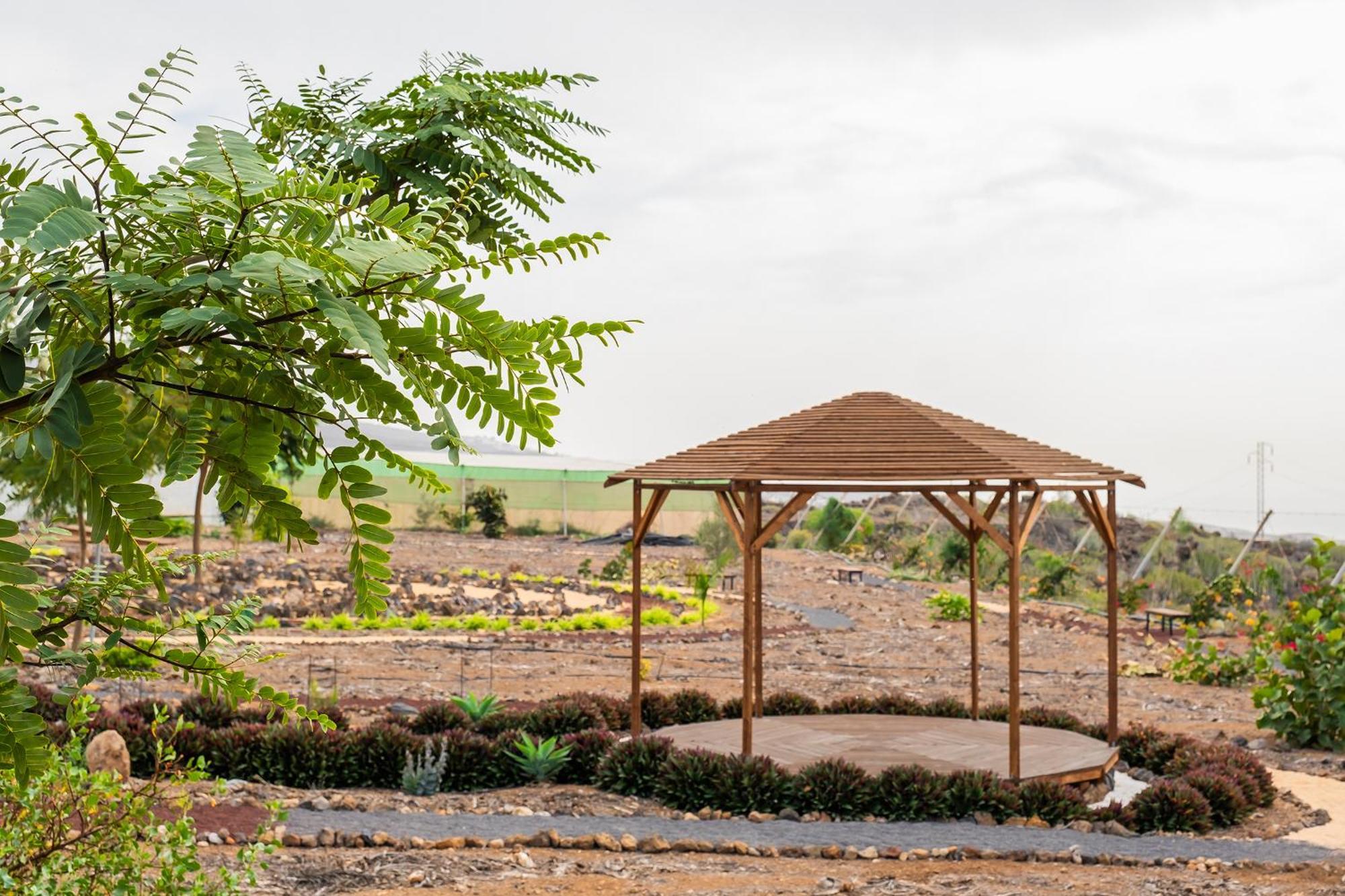 Tenerife Healing Garden Guía de Isora Kültér fotó