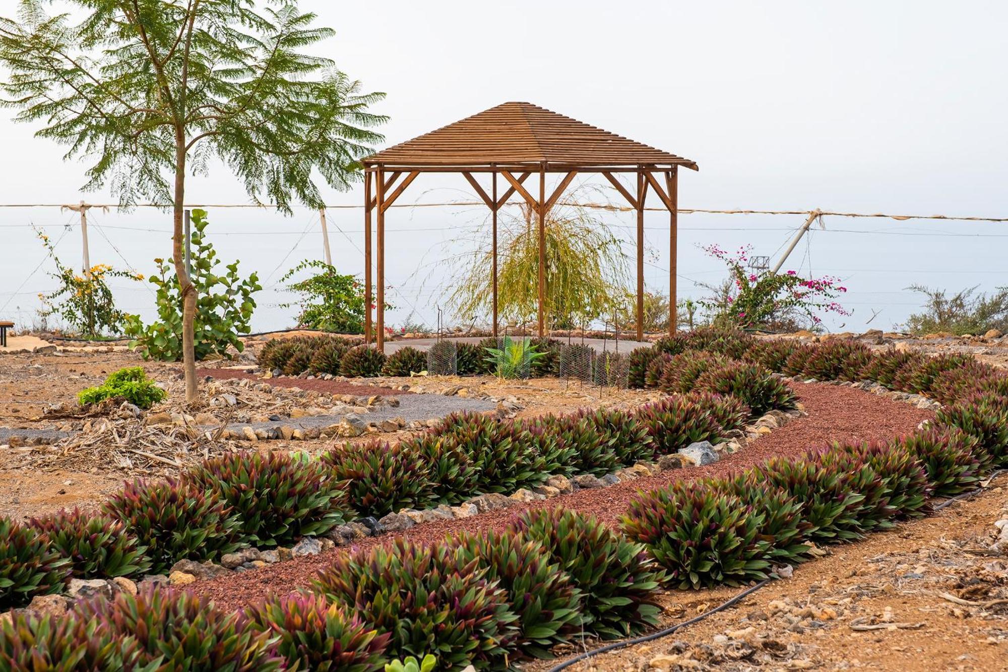 Tenerife Healing Garden Guía de Isora Kültér fotó