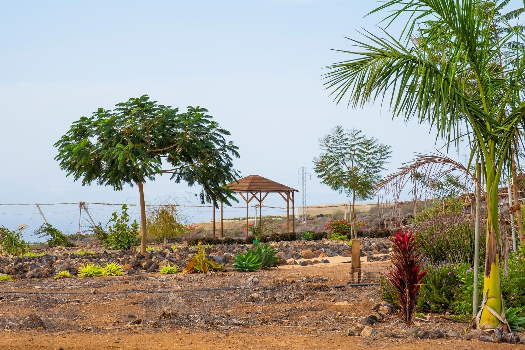 Tenerife Healing Garden Guía de Isora Kültér fotó